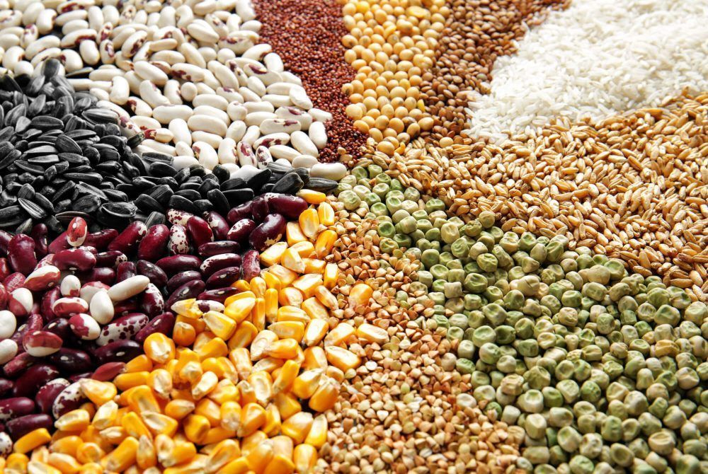 Envasadoras arroz envasadoras legumbres