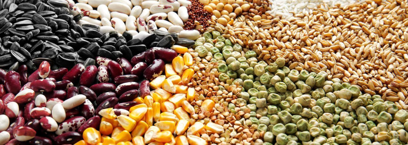 Envasadoras arroz envasadoras legumbres